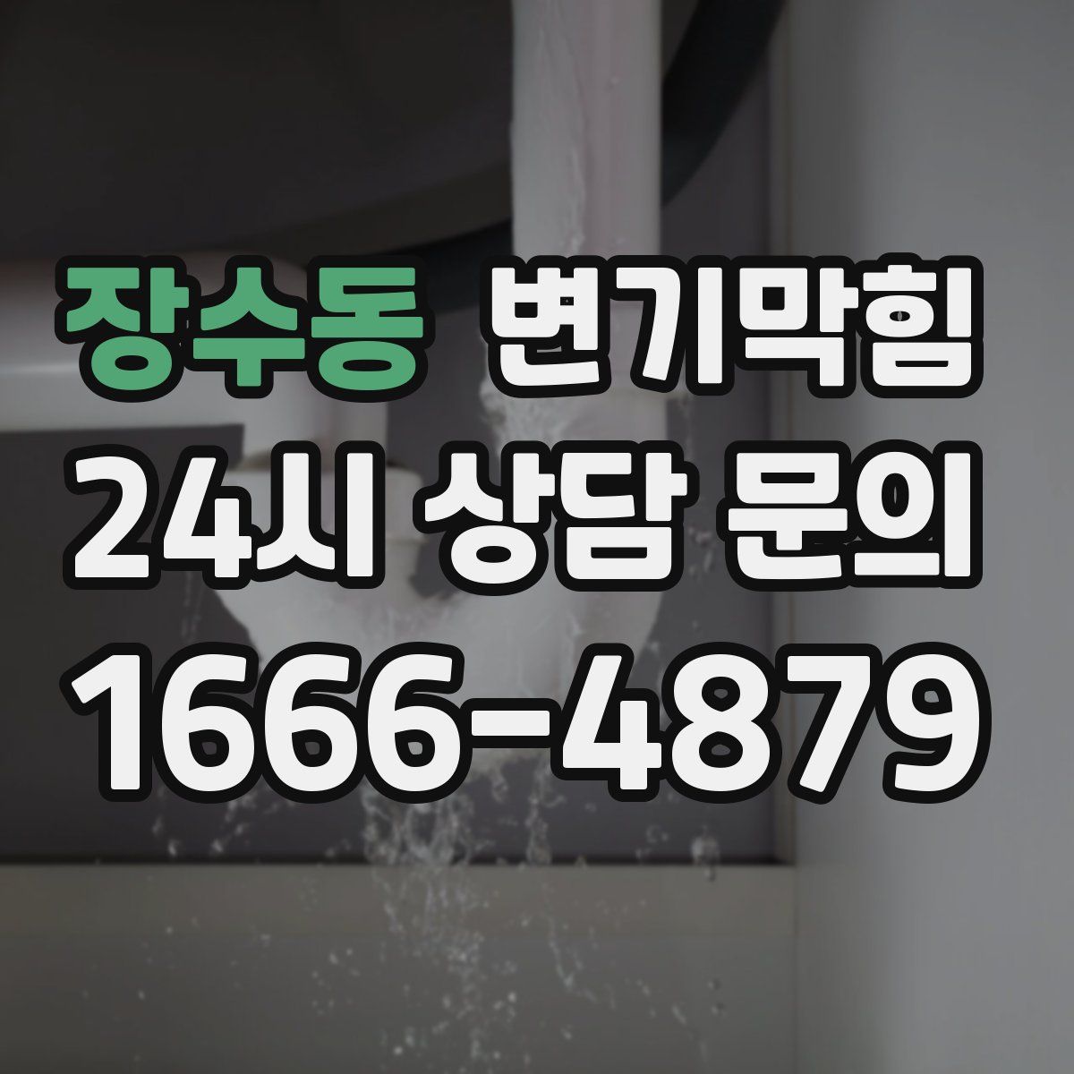 장수동 변기막힘