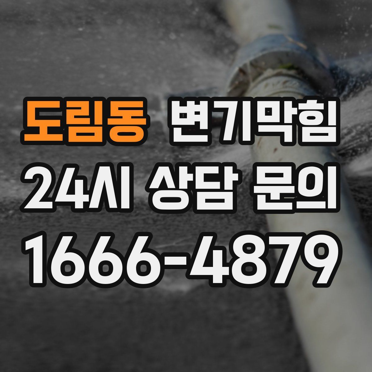 도림동 변기막힘