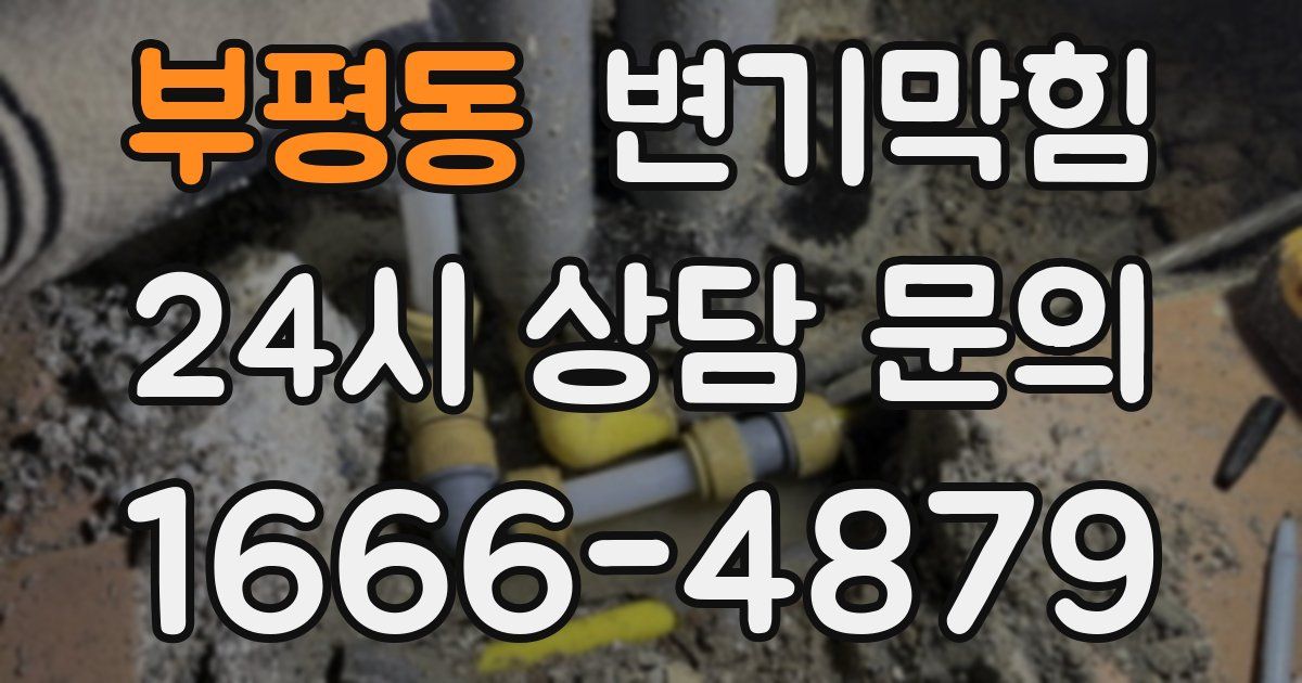 부평동 변기