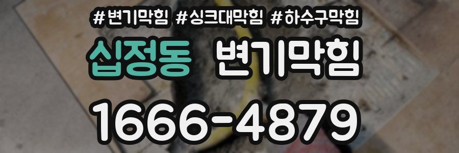 변기막힘