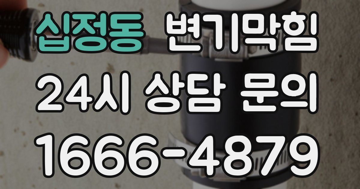 십정동 변기