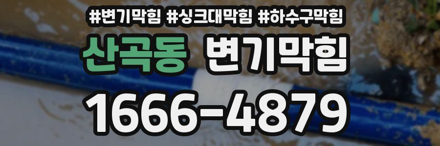 변기막힘