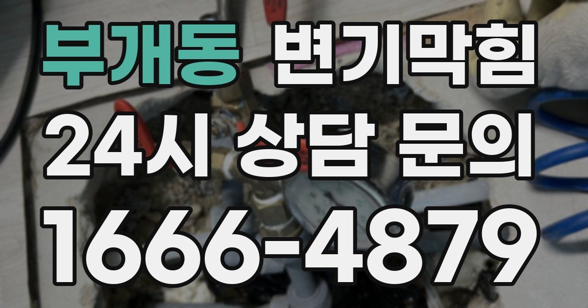 부개동 변기