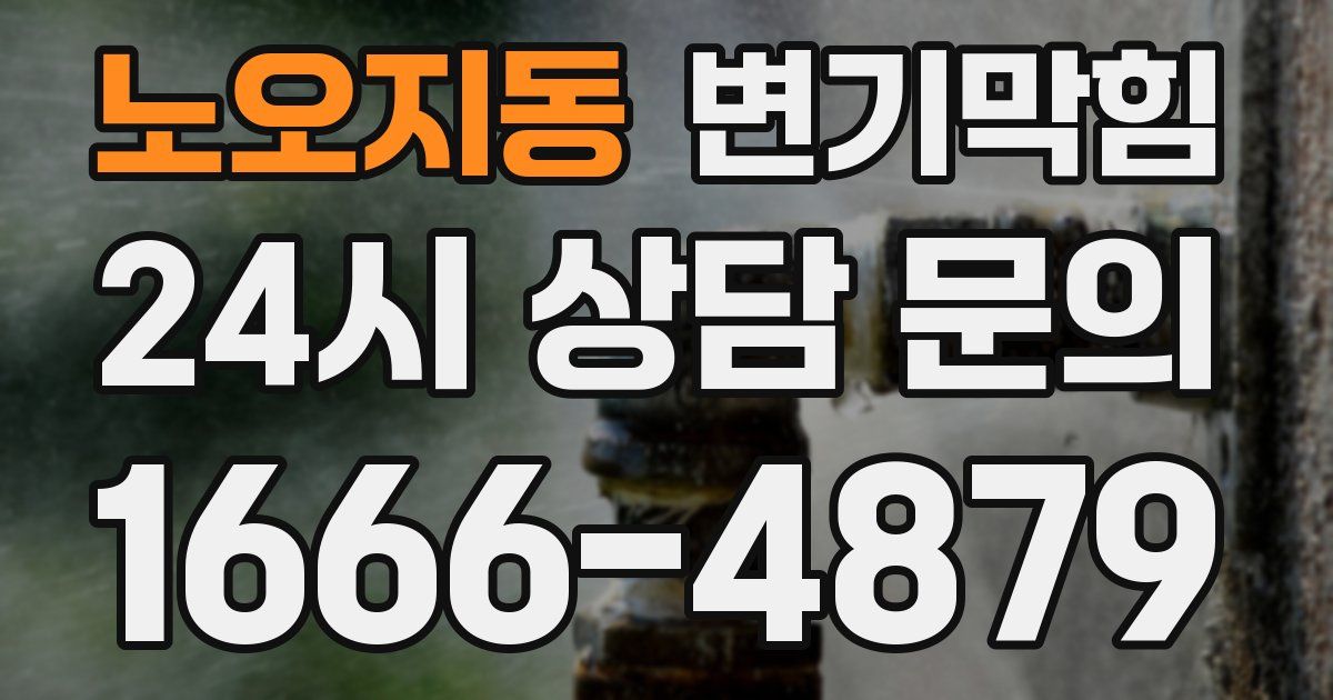 노오지동 변기