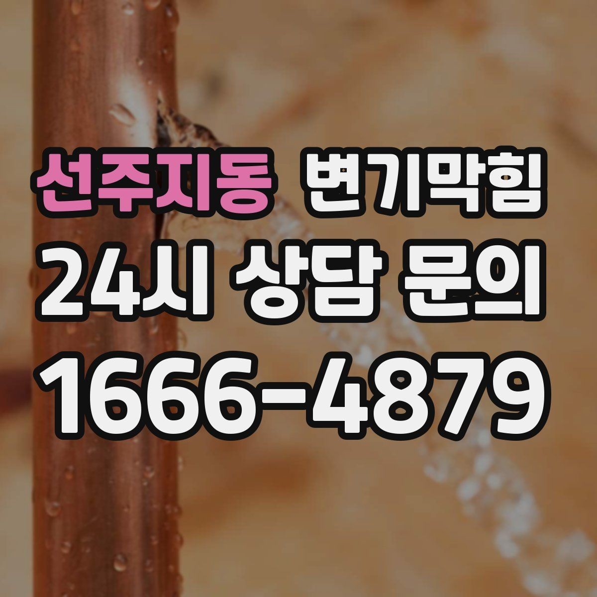선주지동 변기막힘 변기뚫는법 반복 시도 횟수 기준