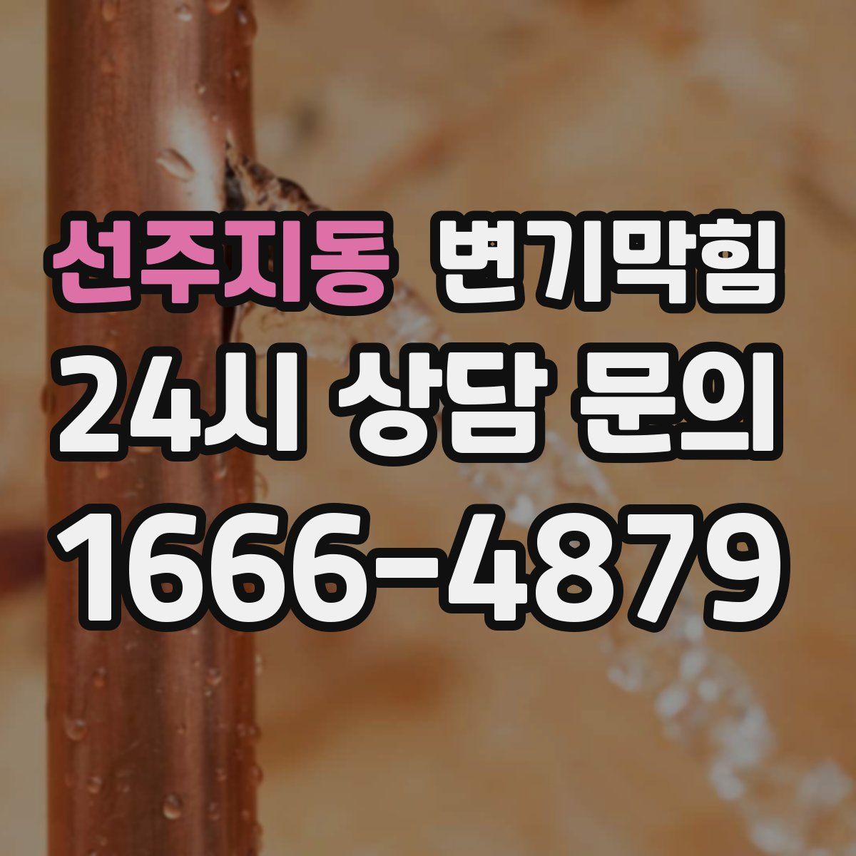 선주지동 변기막힘