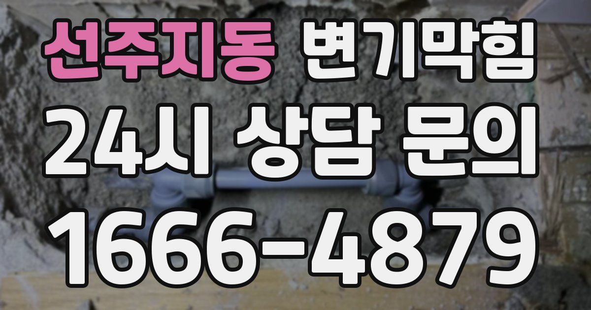 선주지동 변기