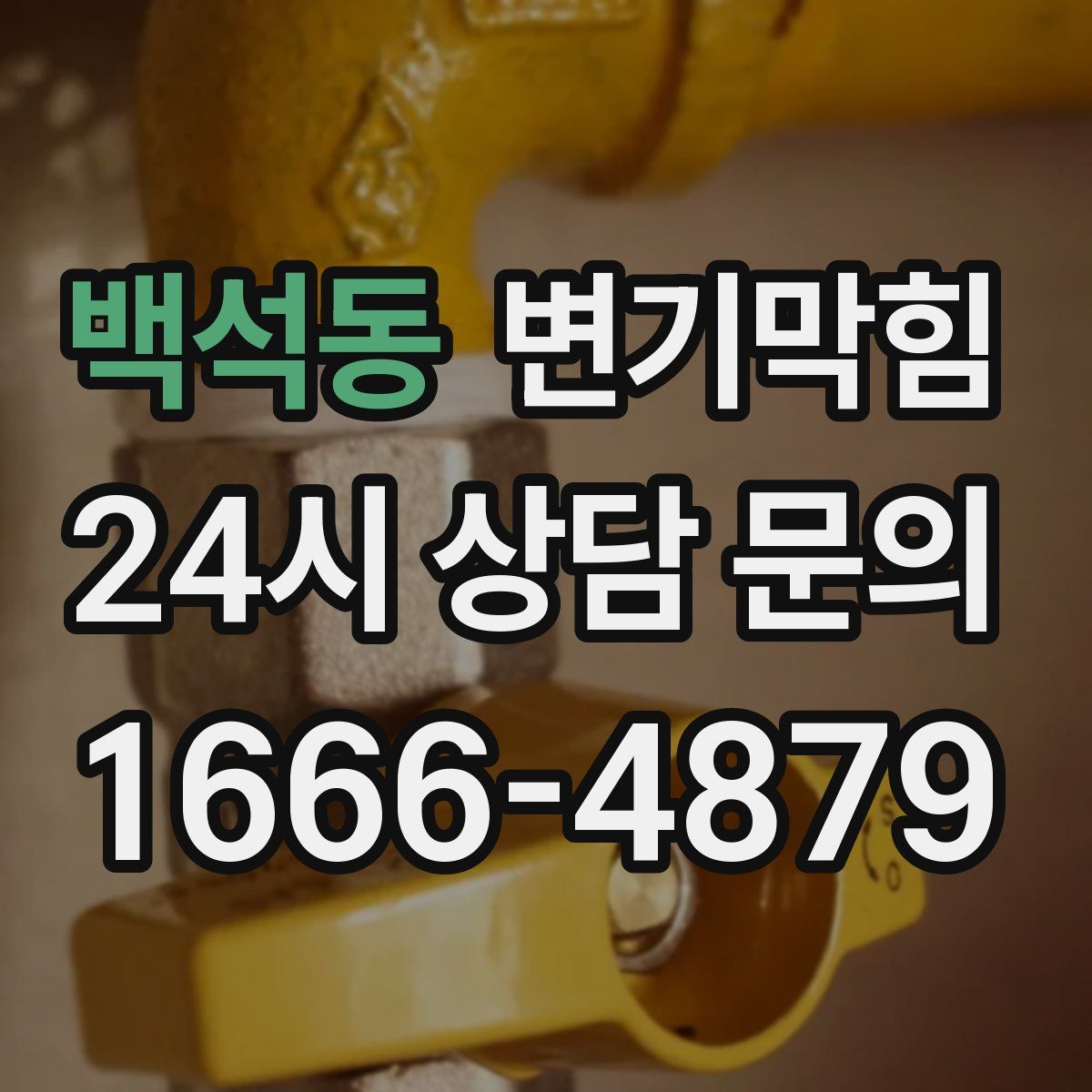 백석동 변기막힘