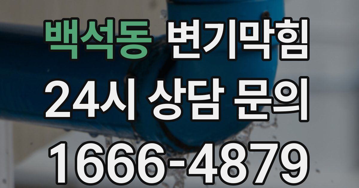 백석동 변기