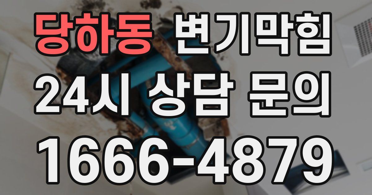 당하동 변기