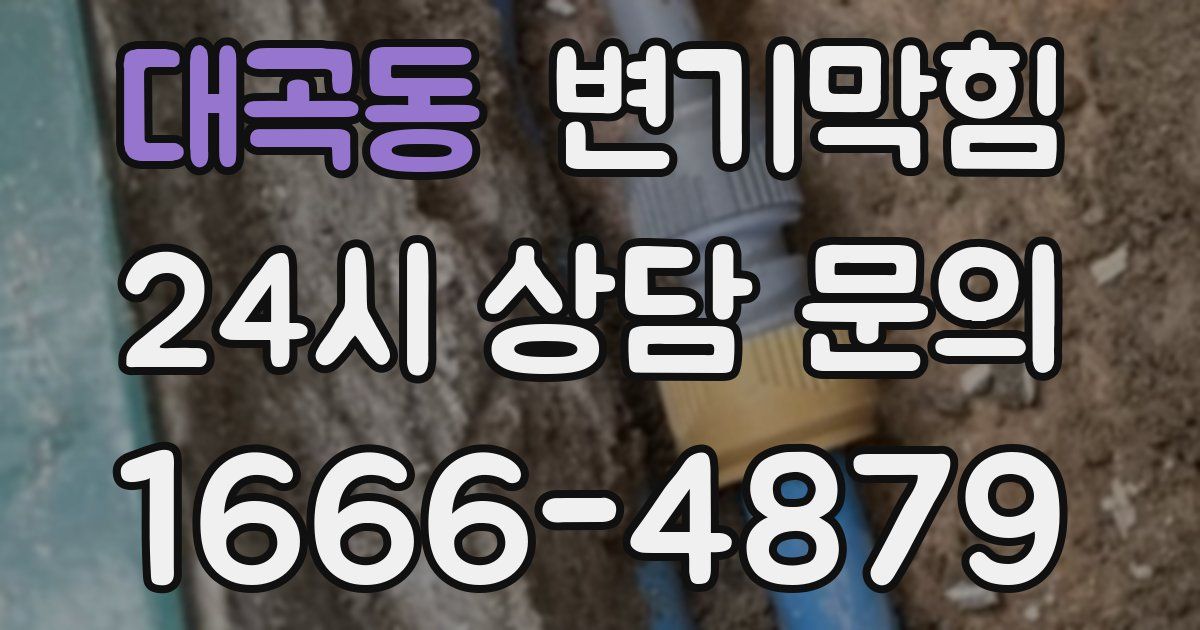 대곡동 변기