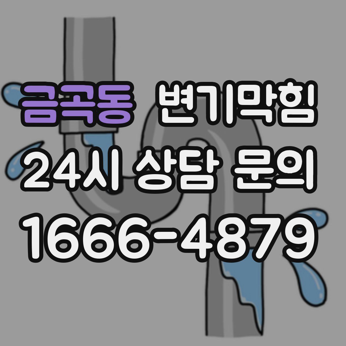 금곡동 변기막힘