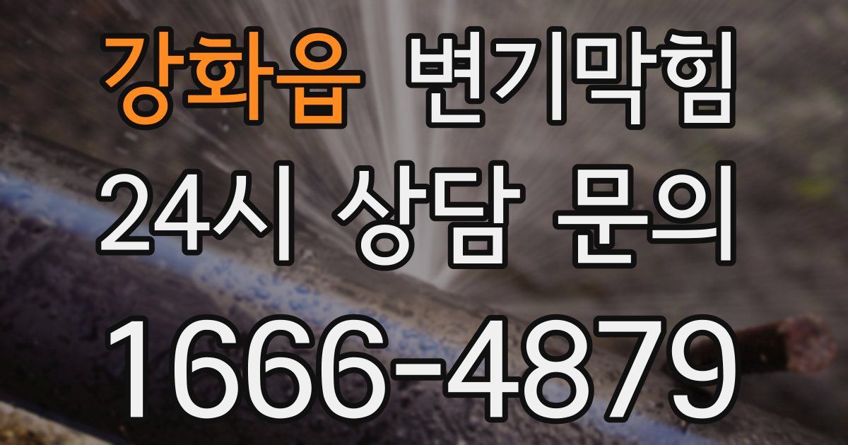강화읍 변기
