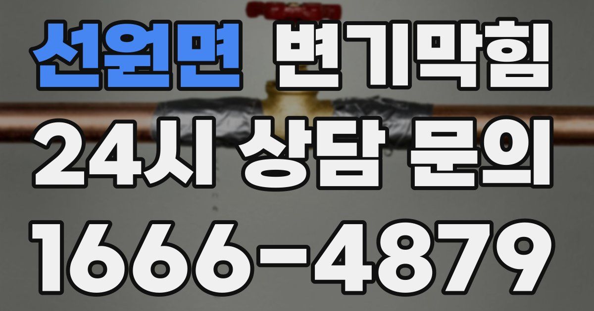 선원면 변기