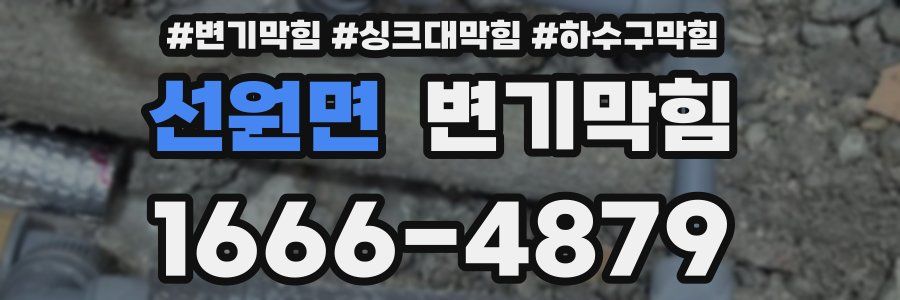 변기막힘