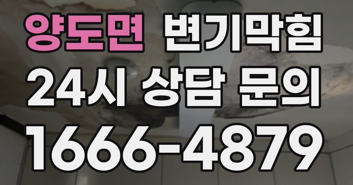 양도면 변기