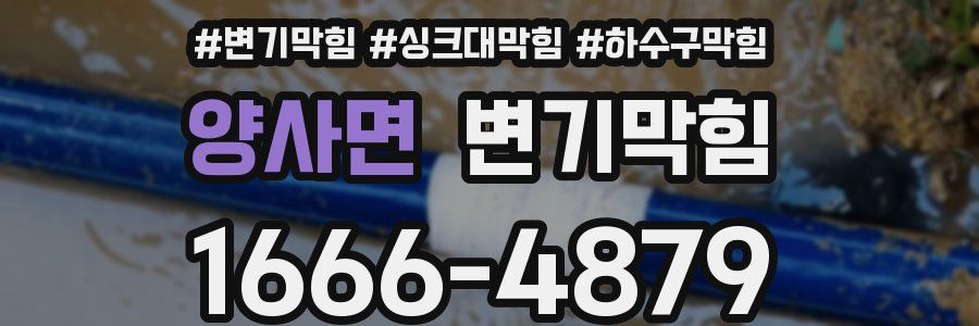 변기막힘