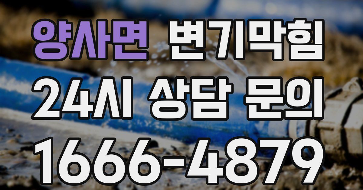 양사면 변기
