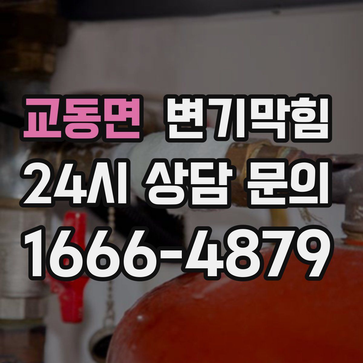 교동면 변기막힘