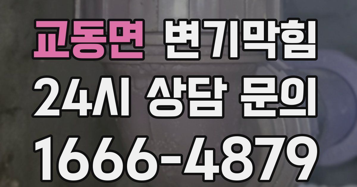 교동면 변기
