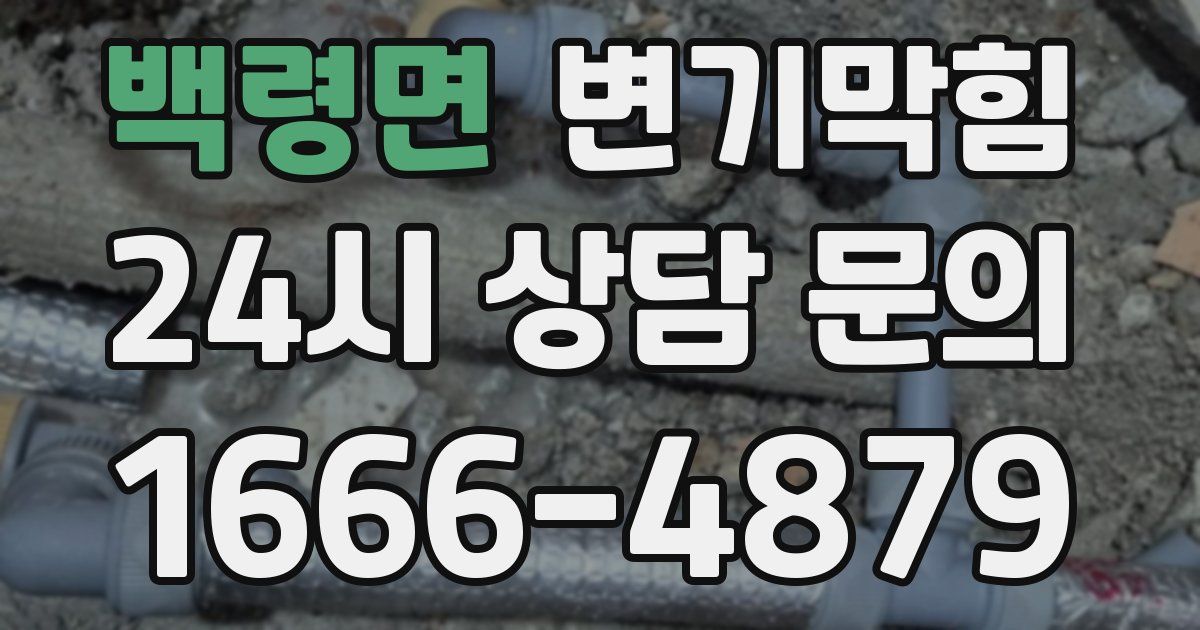 백령면 변기