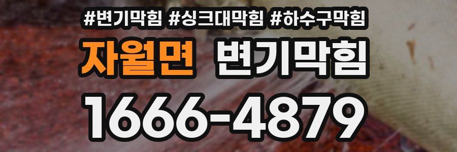 변기막힘