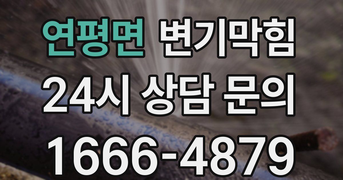 연평면 변기
