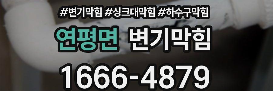 변기막힘