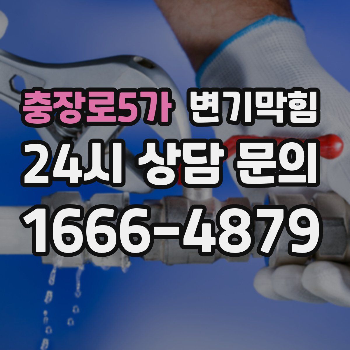 충장로5가 변기막힘