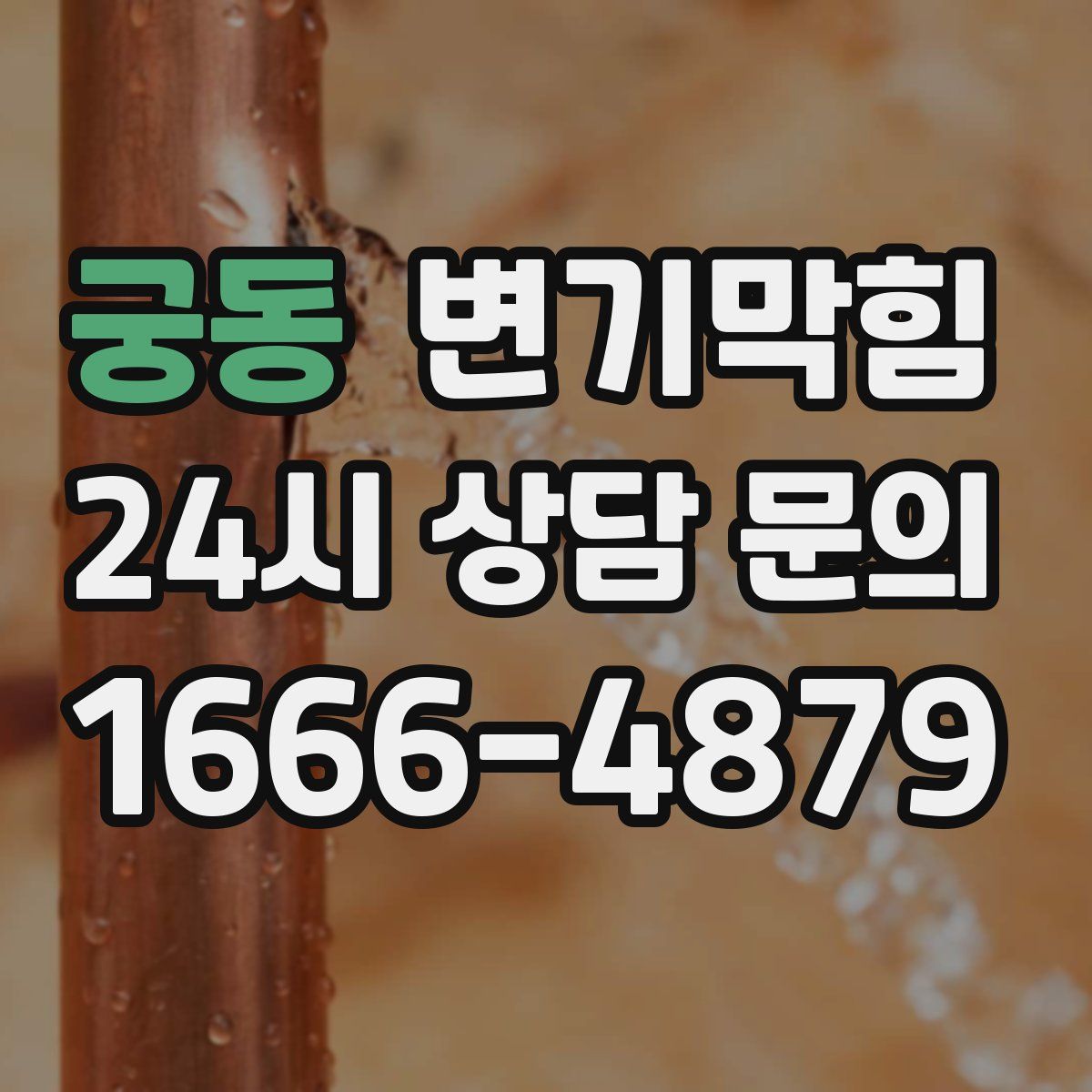 궁동 변기막힘
