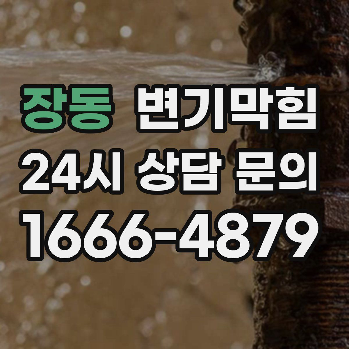 장동 변기막힘