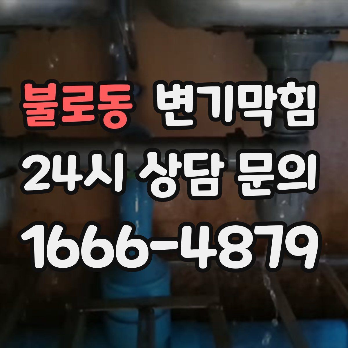 불로동 변기막힘 다가구 화장실역류 공용 라인 분기 점검