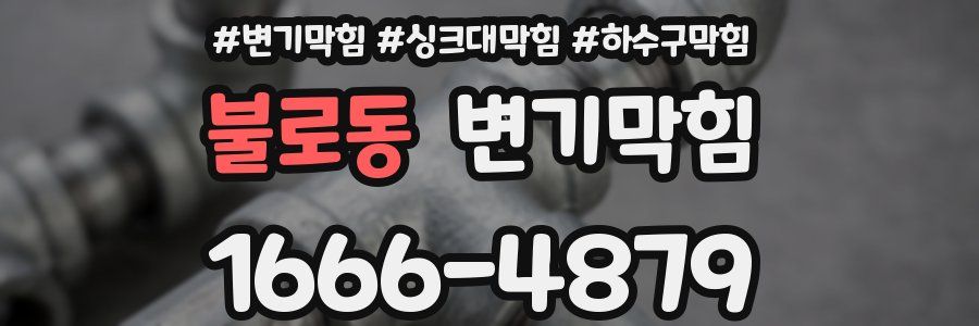 변기막힘