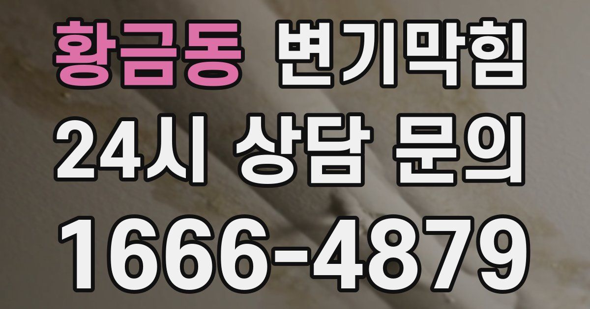 황금동 변기