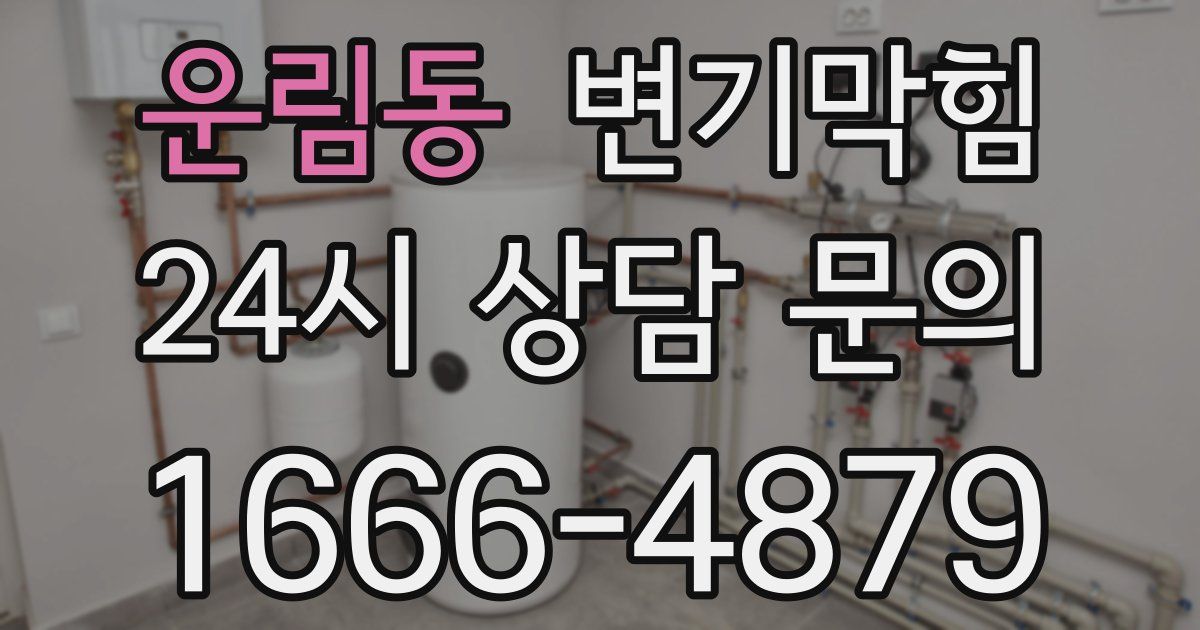 운림동 변기