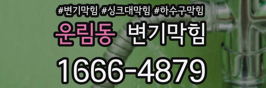 변기막힘