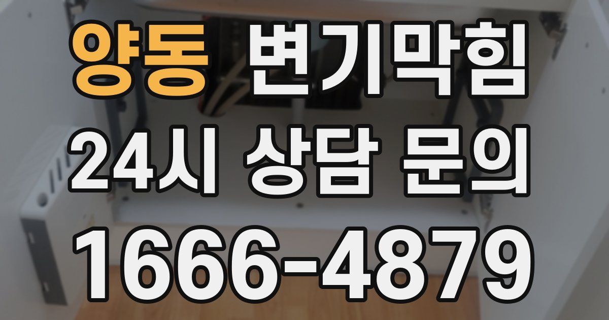 양동 변기
