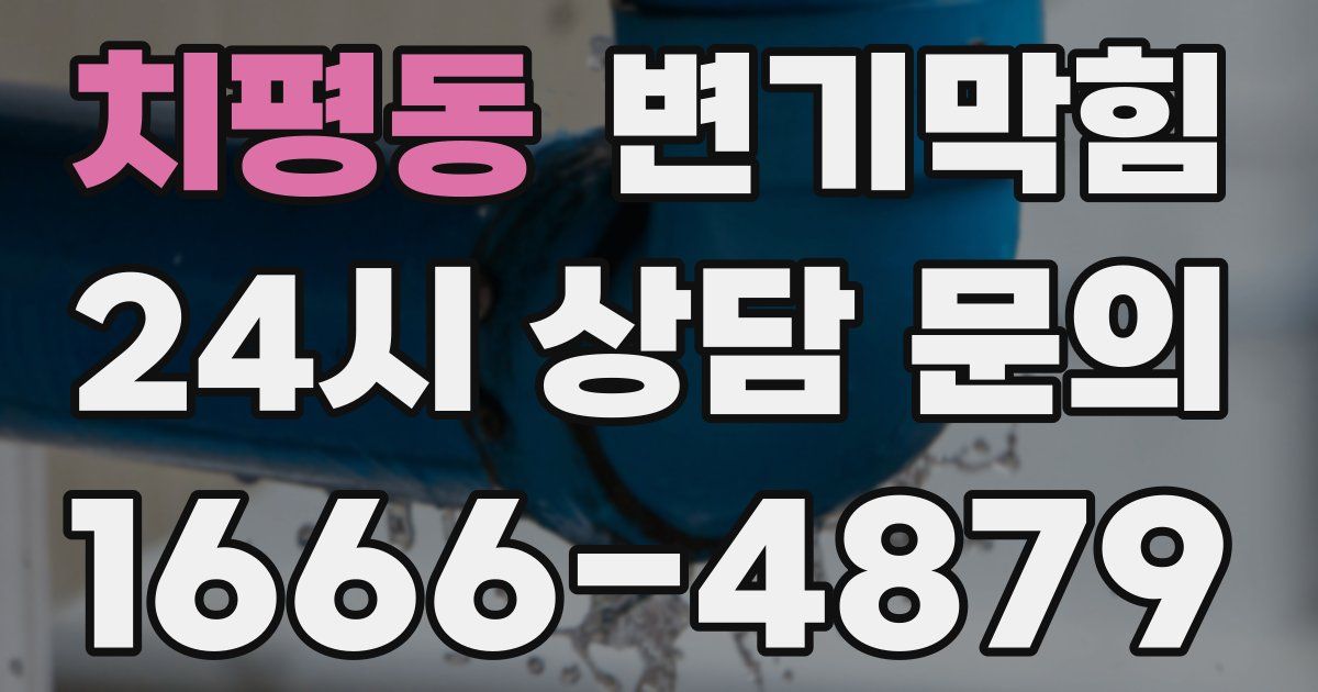 치평동 변기