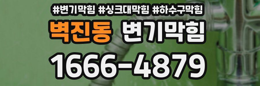 변기막힘