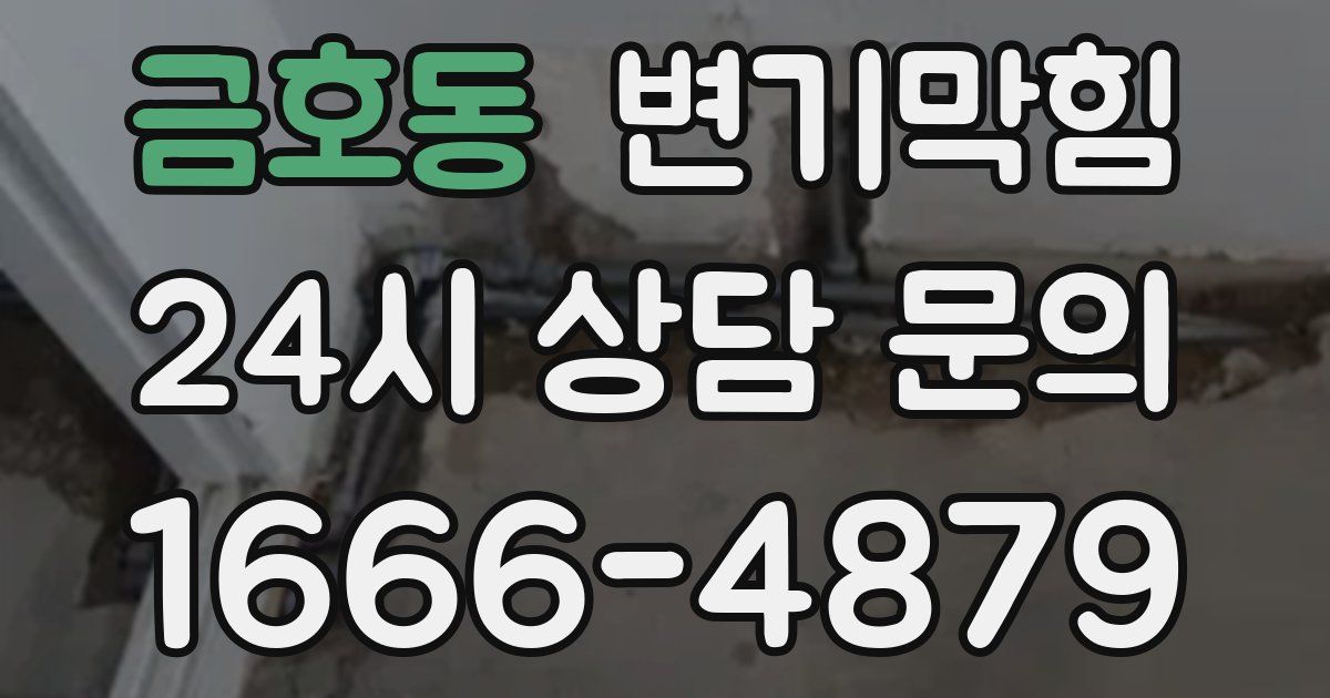 금호동 변기