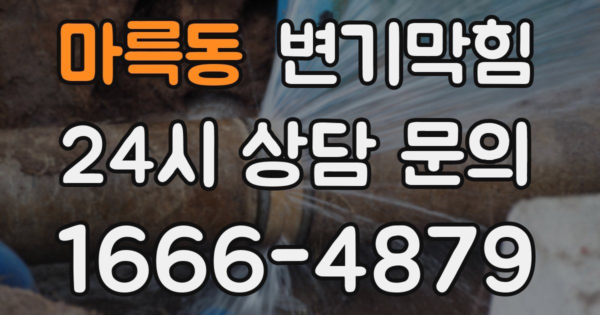 마륵동 변기