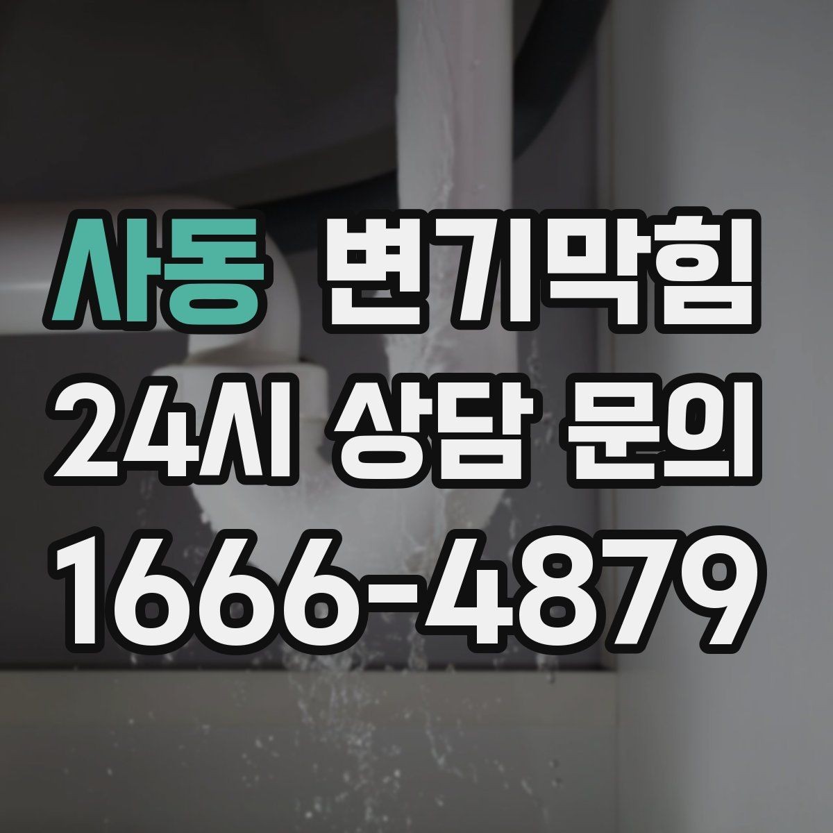 사동 변기막힘 사무실 화장실막힘 회의 전 마감