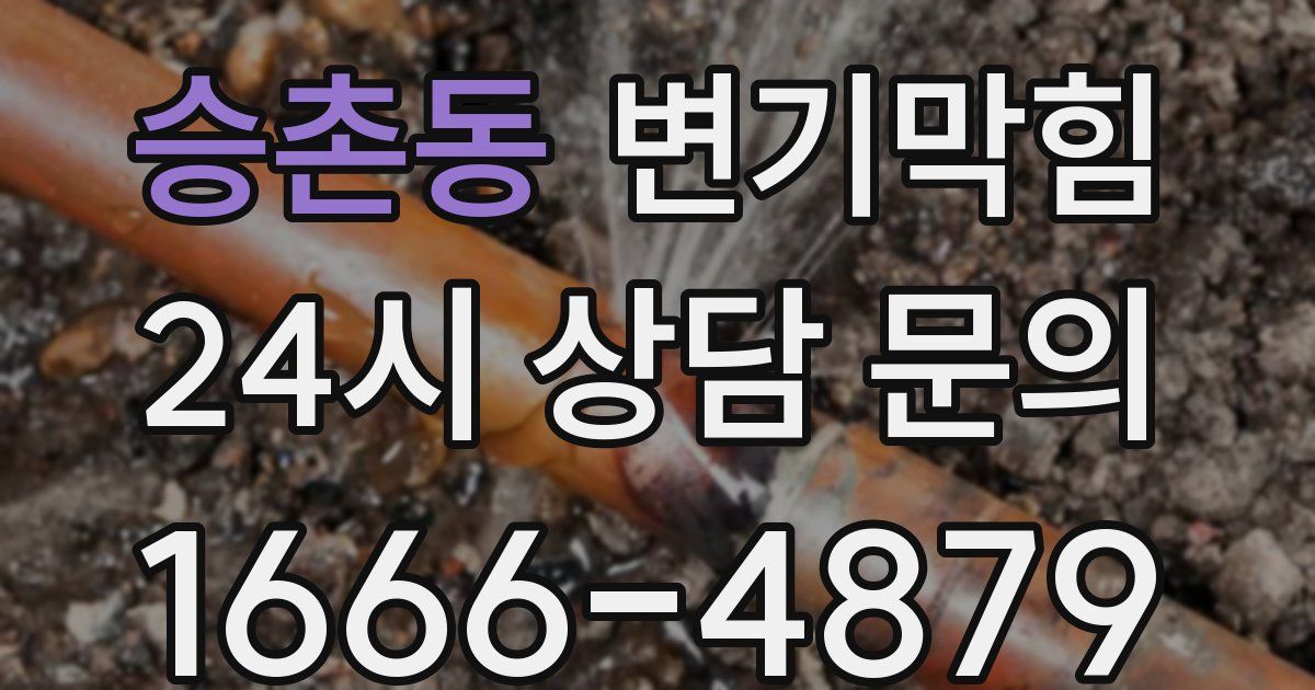 승촌동 변기