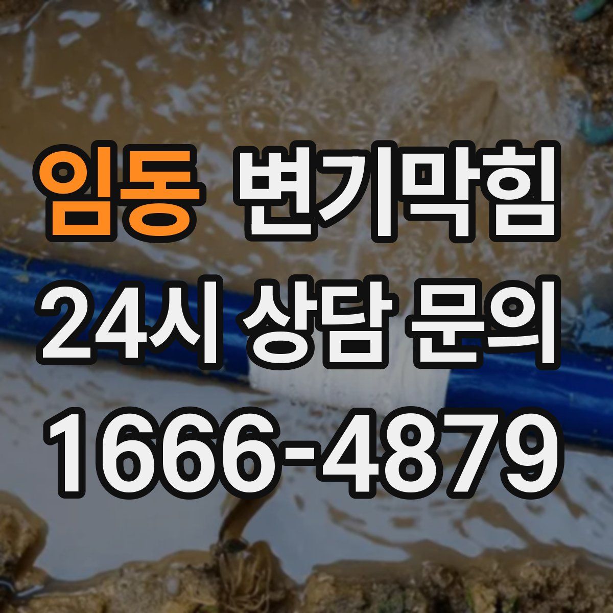 임동 변기막힘