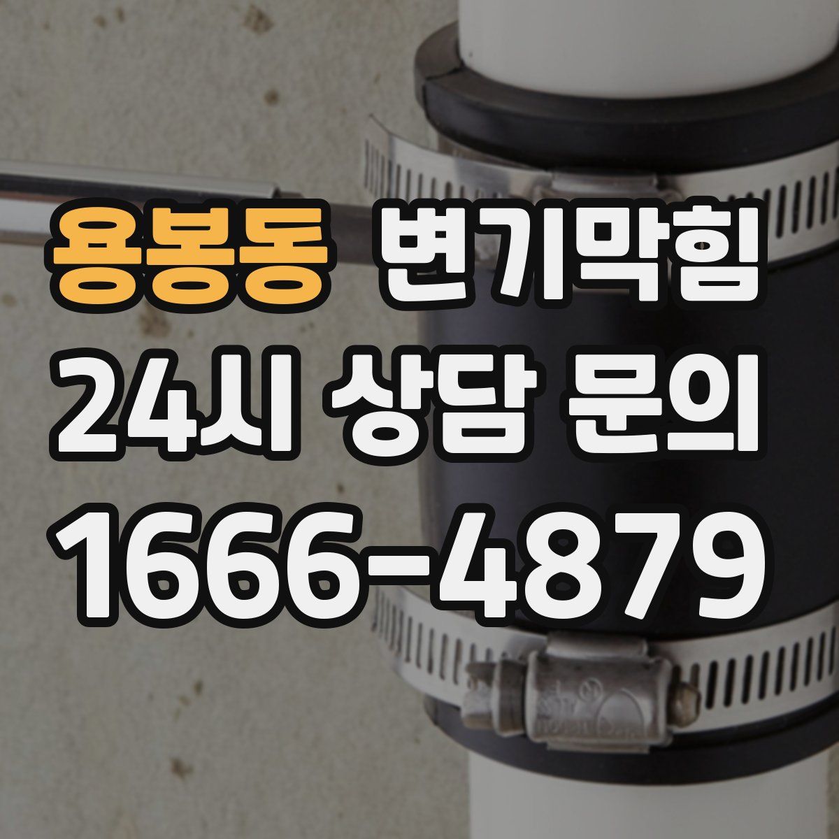 용봉동 변기막힘