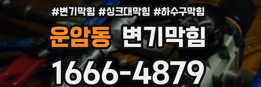 변기막힘