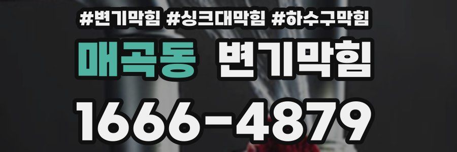 변기막힘