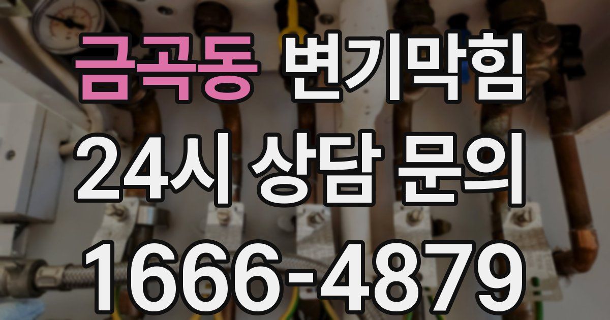 금곡동 변기
