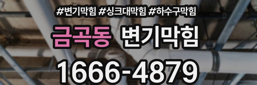 변기막힘