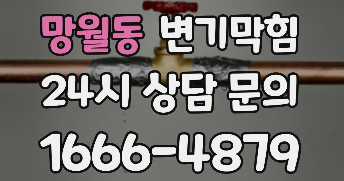 망월동 변기